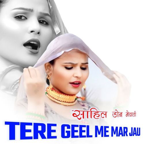 TERE GEEL ME MAR JAU SAHIL DON MEWATI MP3 Download