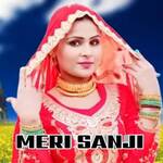 Meri Sanji - Aslam Singer Mewati Song Download