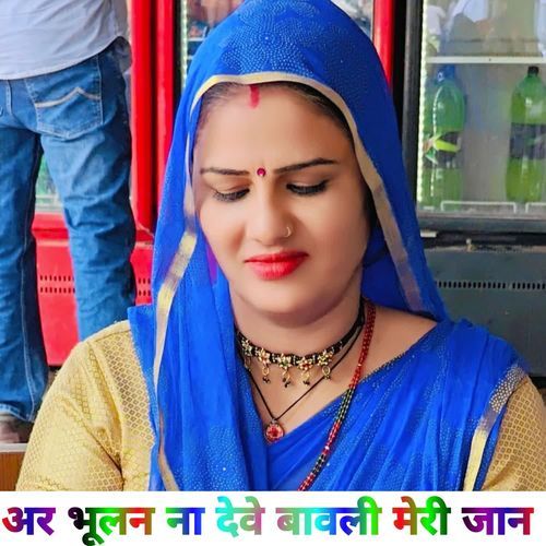 अर भूलन ना देवे बावली मेरी जान Ansar alwar MP3 Download