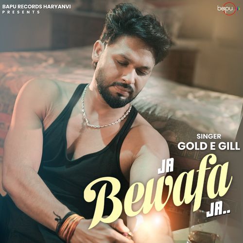 Ja Bewafa Ja Sinta Bhai MP3 Download