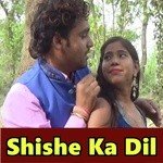 Aryan Gupta Songs MP3 Download