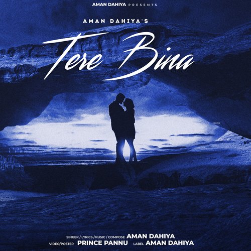 Tere Bina Aman Dahiya MP3 Download