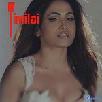 Indira Joshi Songs MP3 Download