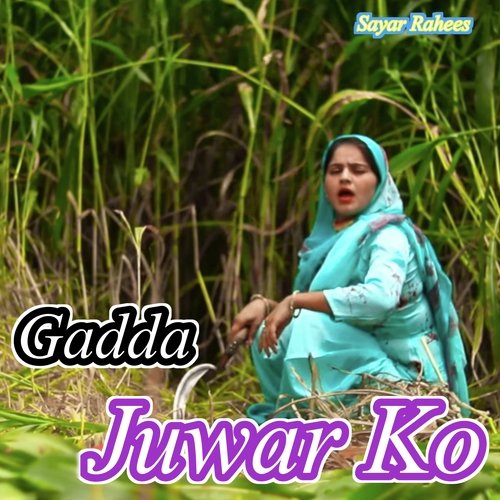 Gadda Juwar Ko Sayar Rahees MP3 Download