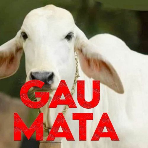 Gau Mata Bhanu Mittal MP3 Download
