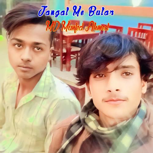 Jangal Me Bular MD Munfed Ahmed MP3 Download