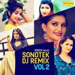 Sonotek (DJ Remix) Vol 2 – Ruchika Jangid, Tarun Panchal (TR Music)