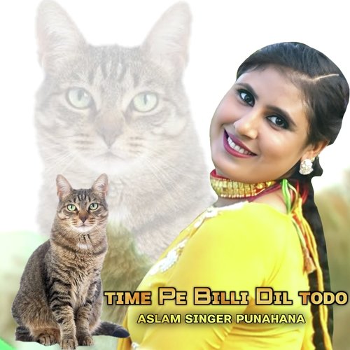 Time Pe Billi Dil Todo Aslam Singer Punahana MP3 Download