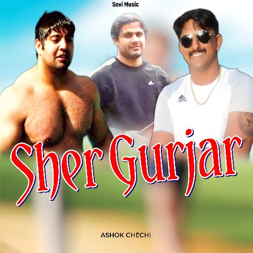 Sher Gurjar Ashok Chechi MP3 Download