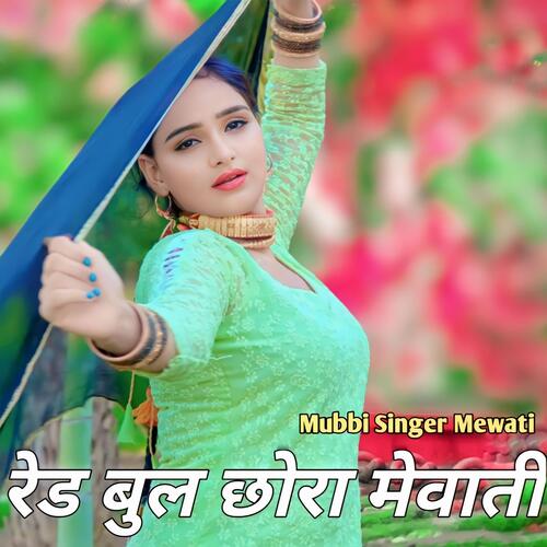 Red Bull Chora Mewati Mubbi Singer Mewati MP3 Download