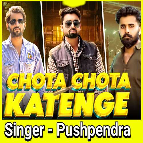 Chhota Chhota Katenge Pushpendra MP3 Download