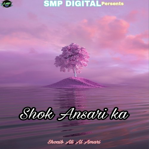 Shok Ansari ka Shoaib Ali Al Amari MP3 Download