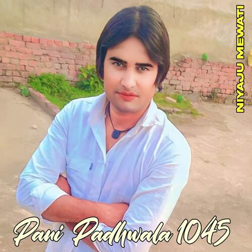 Pani Padhwala 1045 Niyaju Mewati MP3 Download