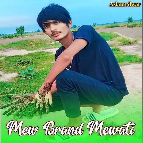 Mew Brand Mewati Aslam Alwar MP3 Download