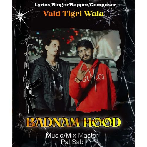 Badnam hood Vaid tigri wala MP3 Download