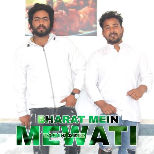Bharat mein mewati Tarik Aziz MP3 Download