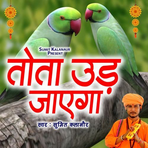 Tota Udjyaga Sumit Kalanaur MP3 Download
