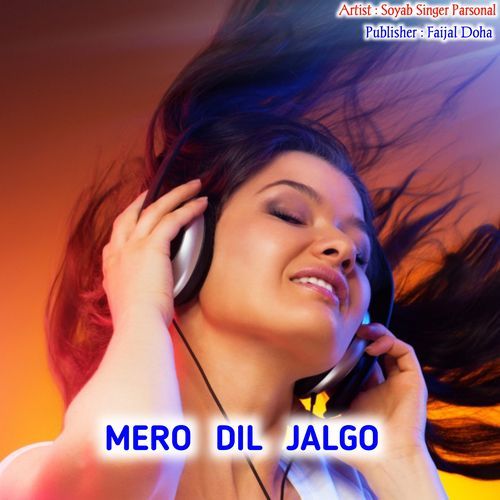 Mero Dil Jalgo FAIJAL MEWATI VLOG MP3 Download