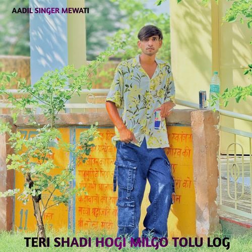 TERI SHADI HOGI MILGO TOLU LOG Aadil Singer Mewati MP3 Download