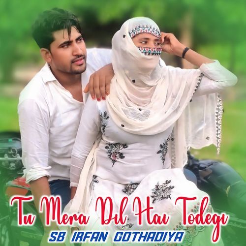 Tu Mera Dil Hai Todegi Aslam Singer Dedwal MP3 Download