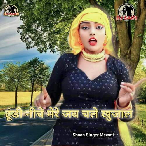 Tundi Niche Mere Jab Chale Khujal Shaan Singer Mewati MP3 Download