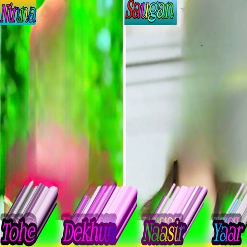 Tohe Dekhun Naasir Yaar Ansar alwar MP3 Download