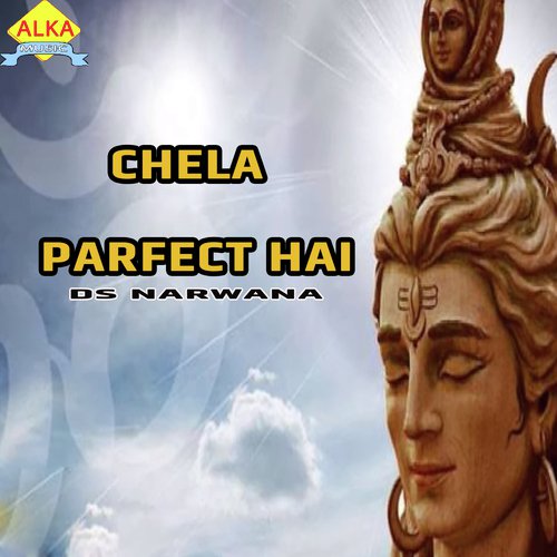 Chela Parfect Hai DS Narwana MP3 Download