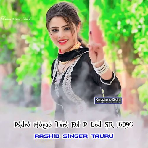 Padro Hoygo Tera Dil P Lod SR 16096 Rashid Singer Tauru MP3 Download