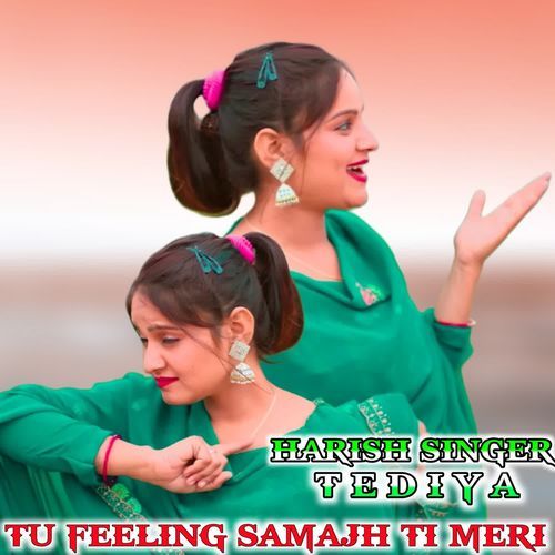 Tu Feeling Samajh Ti Meri Harish Singer Tediya MP3 Download