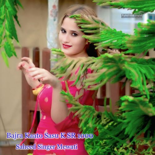 Bajra Kaato Sasu K SR 1000 Saheed Singer Mewati MP3 Download