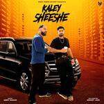 Kaley Sheshe – Aniket