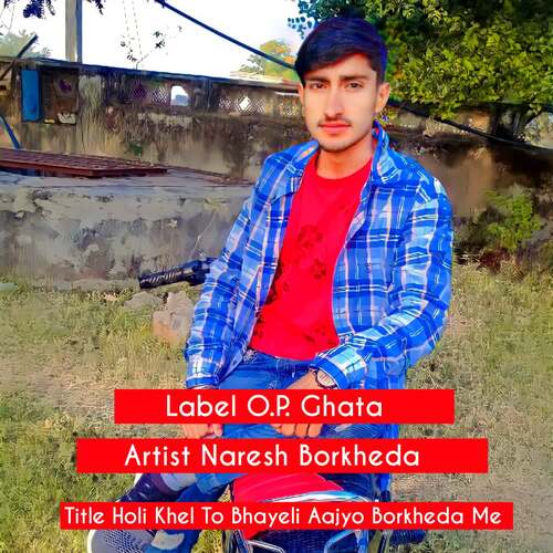 Holi Khel To Bhayeli Aajyo Borkheda Me Naresh Borkheda MP3 Download
