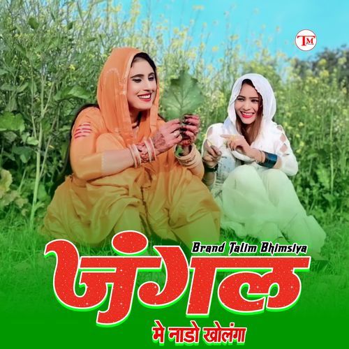 जंगल मे नाडो खोलंगा Sakir Mewati MP3 Download