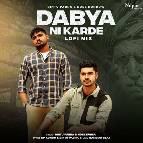 Dabya Ni Karde (Lofi Mix) Bintu Pabra MP3 Download