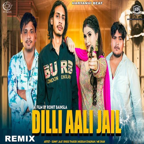 Dilli Aali Jail (Remix) Pooja Diwakar MP3 Download