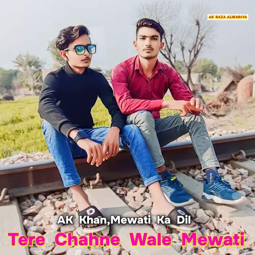 TERE CHAHNE WALE MEWATI MEWATI KA DIL MP3 Download