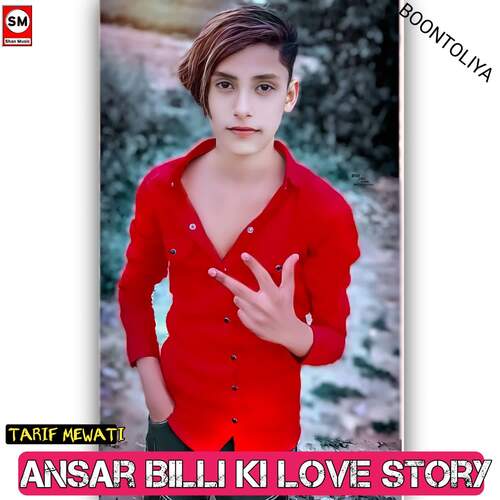 Ansar Billi ki Love story Tarif Mewati MP3 Download