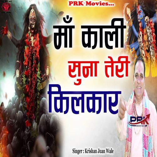 Maa Kali Suna Teri Kilkar Krishan Juan Wale MP3 Download