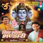 Saleem Songs MP3 Download