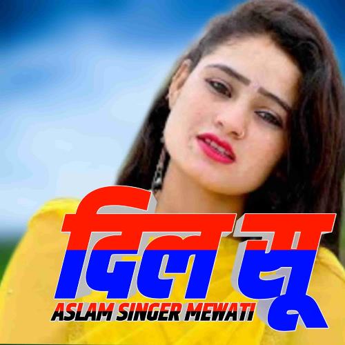 Dil Su Aslam Singer Mewati MP3 Download