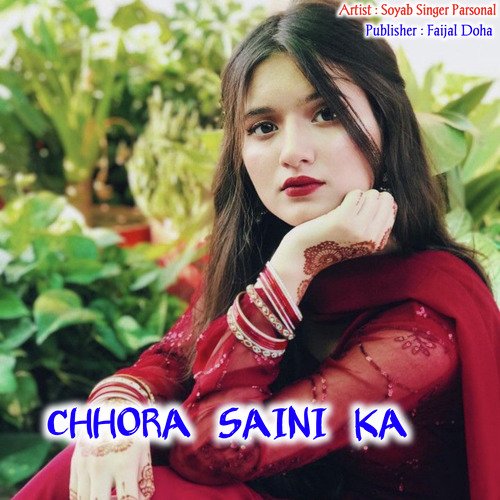 CHHORA SAINI KA FAIJAL MEWATI VLOG MP3 Download