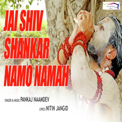 Pankaj Naamdev Songs MP3 Download