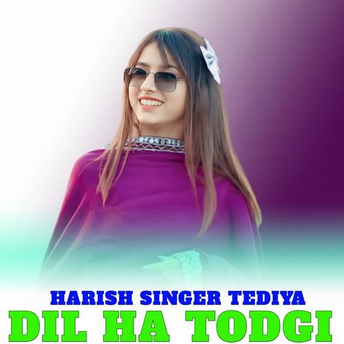 DIL HA TODGI Harish Singer Tediya MP3 Download