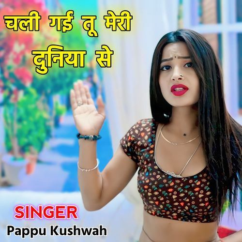 Chali Gai Tu Meri Duniya Se Pappu Kushwah MP3 Download