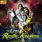 Narendra Kaushik (Samchana Wale) Songs MP3 Download