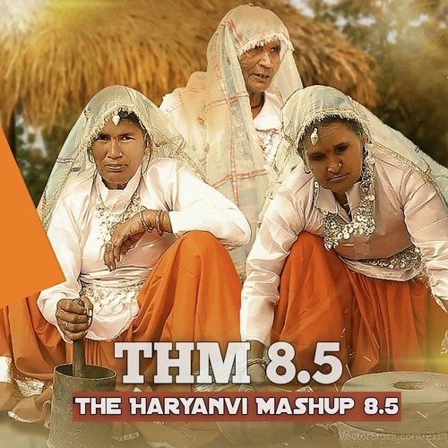 THM The Haryanvi Mashup 8.5 Komal Jangra MP3 Download