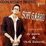 Vikas Swagger Songs MP3 Download