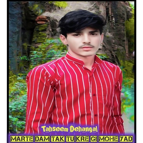 Marte Dam tak tu kre gi mohe yad (Mewati) Tahseem Dehangal MP3 Download
