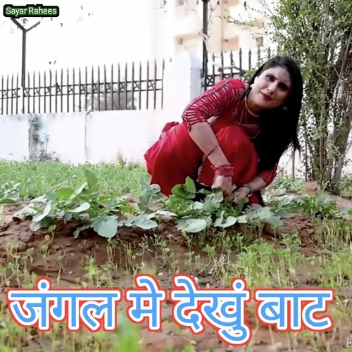 Jangal Me Dekhu Bat Sayar Rahees MP3 Download
