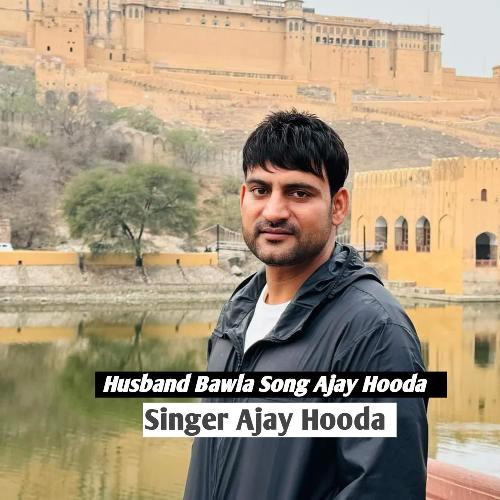 Husband Bawla Song Ajay Hooda Ajay Hooda MP3 Download